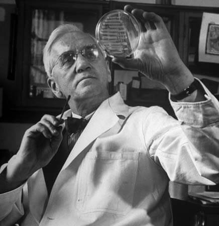 Alexander Fleming - ผู้ค้นพบยาปฏิชีวนะ