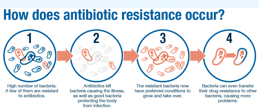 การเกิด resistance strain จากการได้รับยาปฏิชีวนะไม่ครบตามปริมาณ