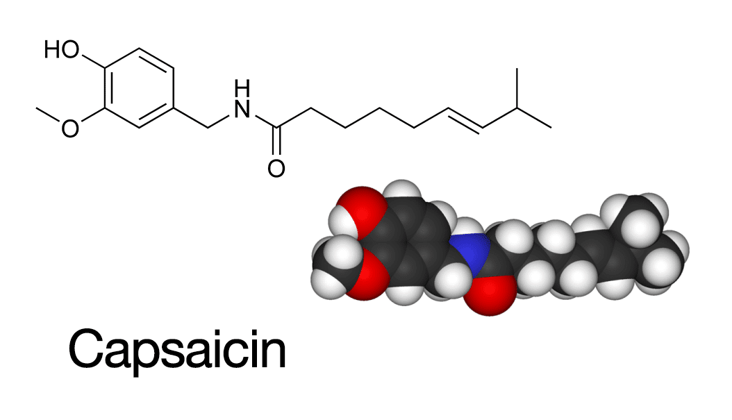 โครงสร้างทางเคมีของ Capsaicin