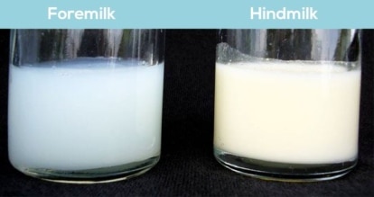ระยะนมปรับเปลี่ยน น้ำนมอาจมีสีที่แตกต่างกัน (ภาพจาก: Ameda.com)